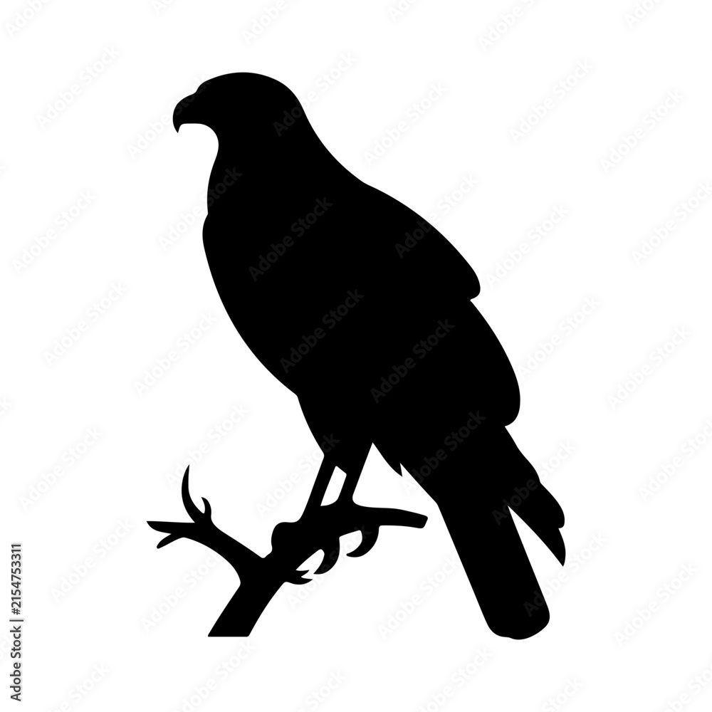 Fototapeta premium Perched Hawk Silhouette