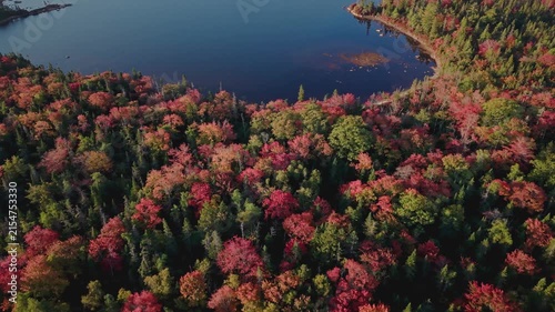 A view of autumn forests near Halifax, Nova Scotia from above