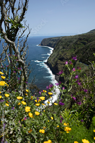 Canvastavla fleurs et falaises aux Açores