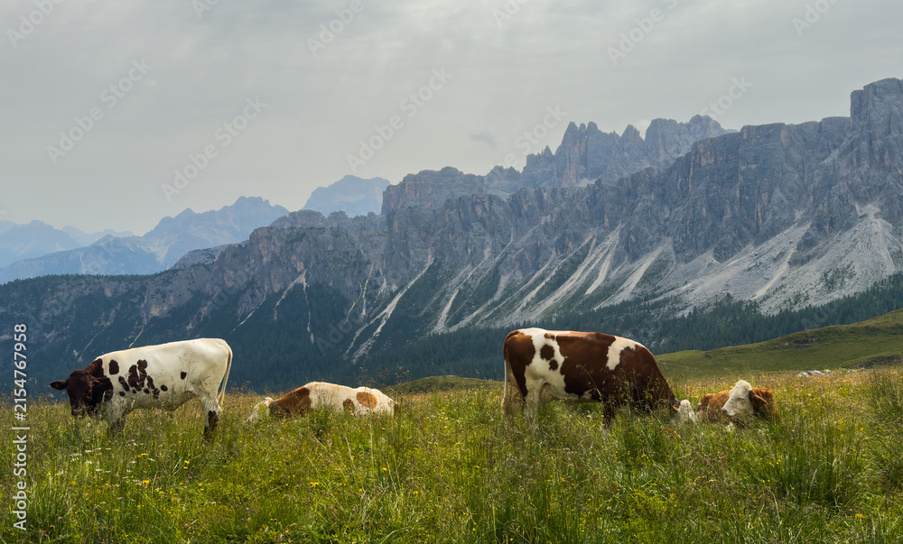 Naklejka premium panoramic view on giau pass south tyrol