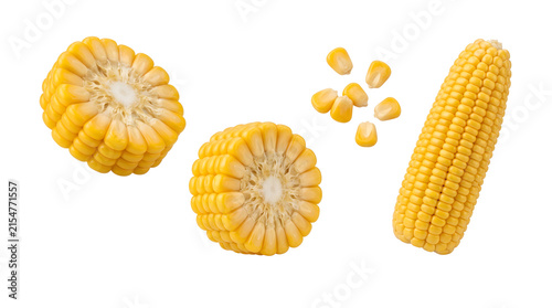 Photography Fresh sweet corn cob segments and kernels on transparent background