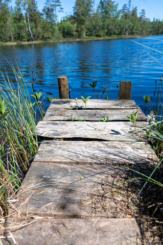 Part of a wooden boardwalk with green plants and trees  and lake water
