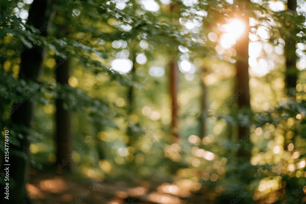 Obraz premium The Forest Path in Morning Light Through Blurred Trees and Sunbeams