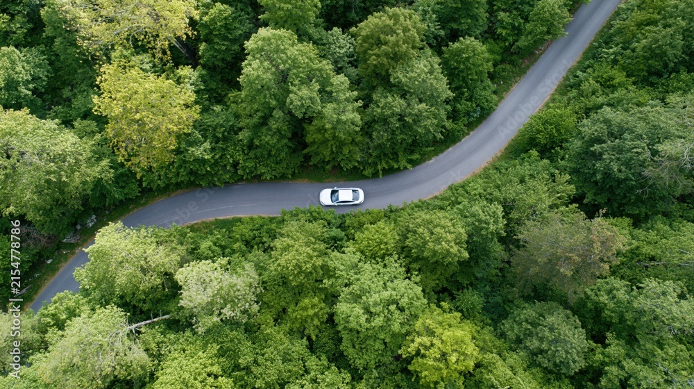 Obraz premium The Car on a Winding Forest Road in Lush Greenery