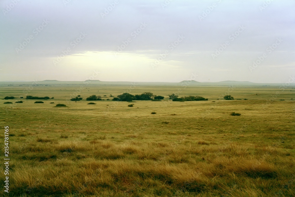 Obraz premium The Vast Grassland Landscape at Distant Horizon Under Soft Sky