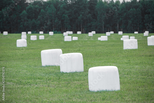 White wrapped hay bales in a green meadow near the edge of a forest.


