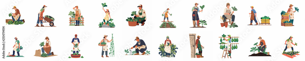 Fototapeta premium Set of Flat Vector Illustrations of People Gardening, Planting, and Harvesting. Diverse Men and Women Working in Garden with Tools, Plants, and Soil for Sustainability and Eco-friendly Hobby.