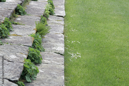 Fotografie Old weathered stone steps with vibrant green plants growing from the cracks next