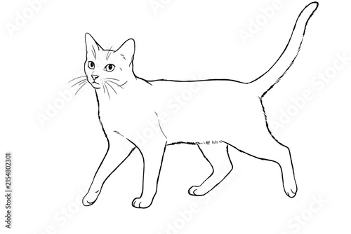 Simple line art drawing of a walking cat isolated on white background