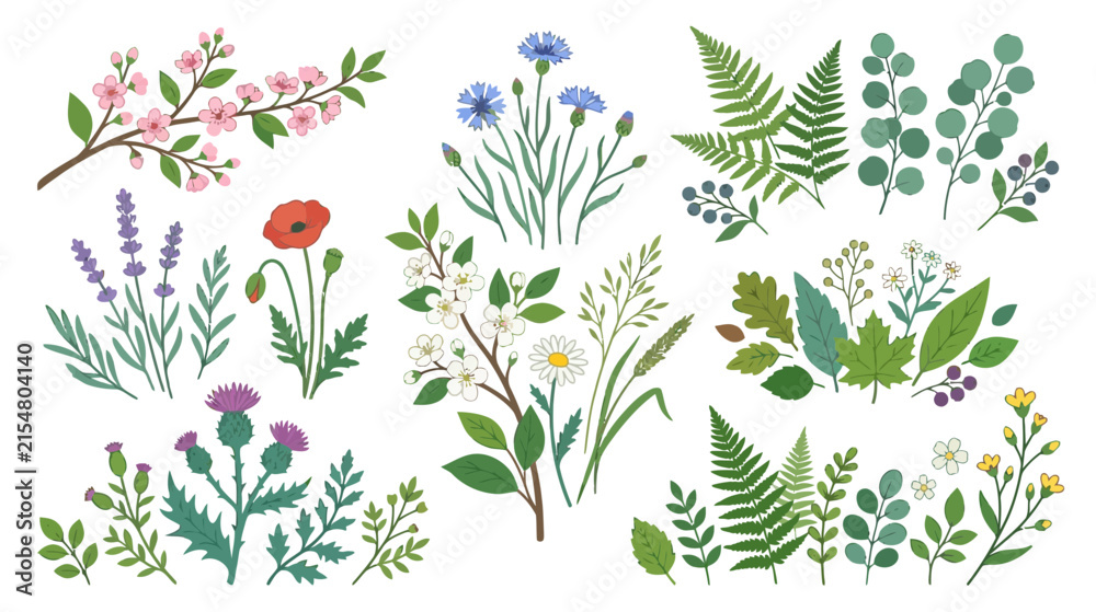 Fototapeta premium Spring Botanical Illustrations: Blooming Flowers & Greenery Collection