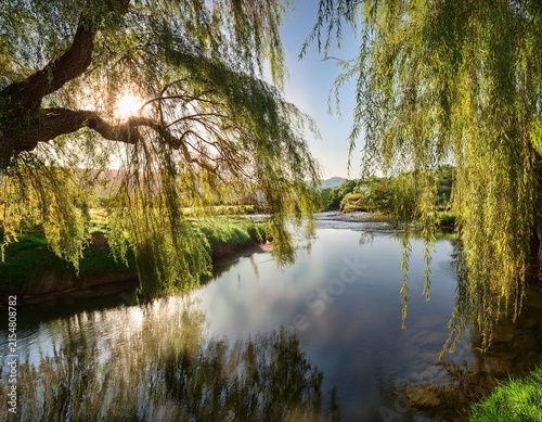 weeping willow tree by tranquil river establishing serenity