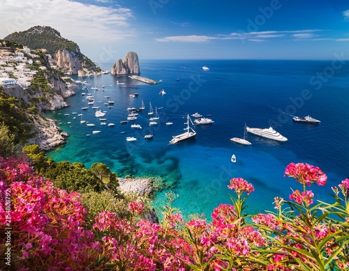 capri island italy amazing view of yachts and boats floating on turquoise water with colorful flowers in foreground
