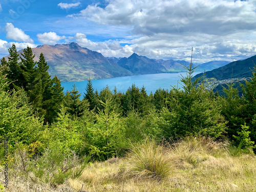 Mountain Range Beyond a Forested Hillside, New Zealand