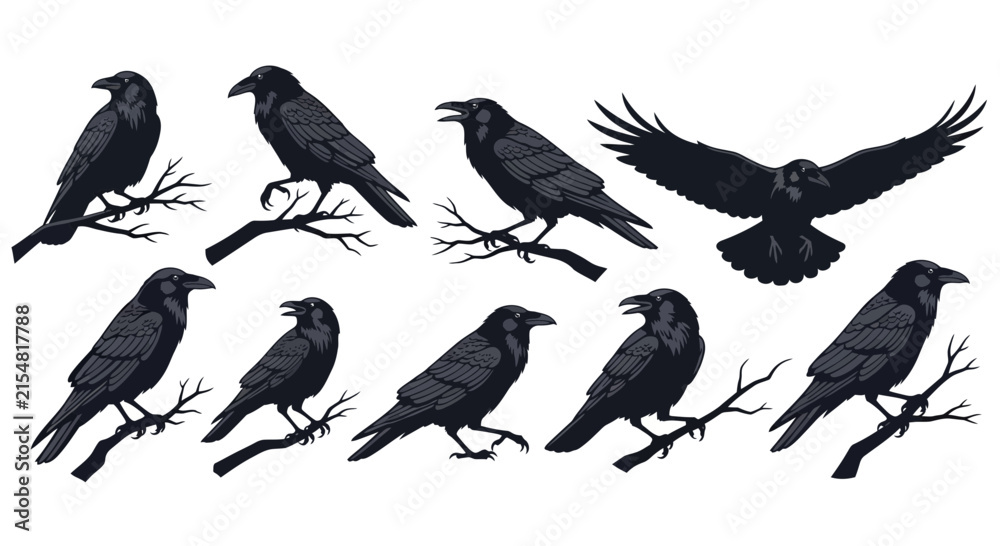 Obraz premium Black raven silhouettes in various poses, set of 9 crow vector illustrations, dark gothic birds on branches for halloween design