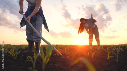 In the field, a woman works with a hoe while another woman tends to plants at sunset. The sunset creates a warm glow over the field and the women.
