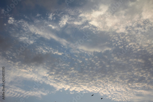 Quadro su tela Dramatic sky with wispy altocumulus clouds, moody blue and grey sky background,