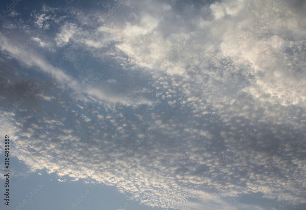 Obraz premium Dramatic altocumulus clouds in blue sky, textured white cloudscape background, natural sky overlay for design