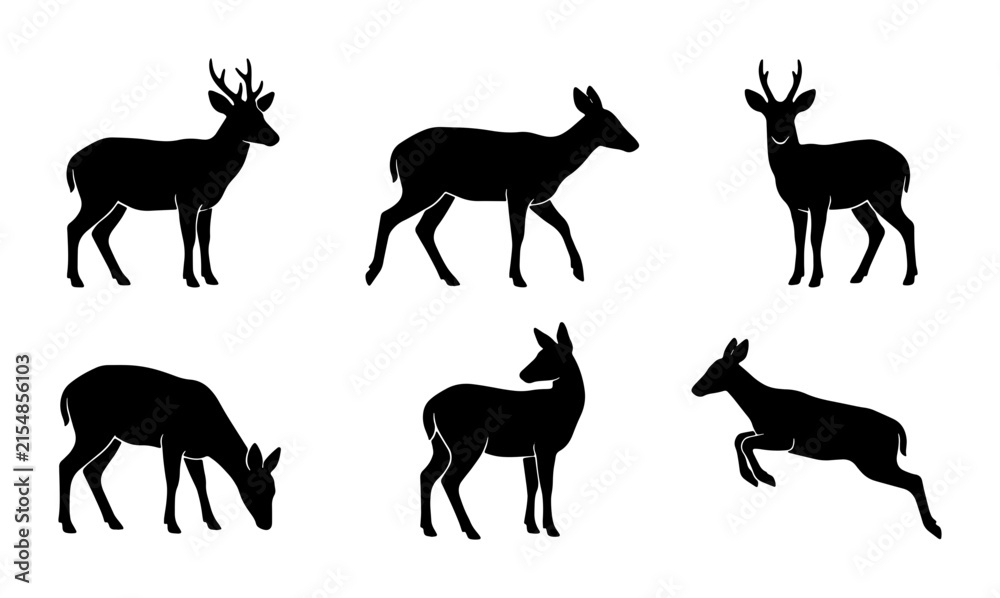 Obraz premium Deer Silhouettes Collection: Wildlife Animal Icons, Forest Fauna Vector Graphics, Nature Mammal Poses