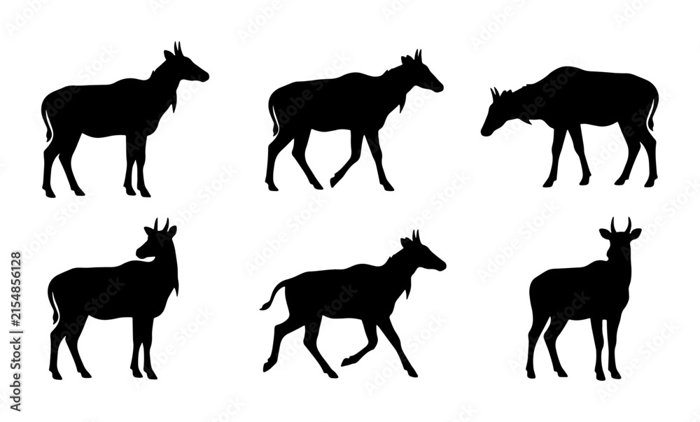 Fototapeta premium Nilgai Antelope Silhouettes Collection, Wildlife Animal Vector Icons, Grazing and Standing Poses