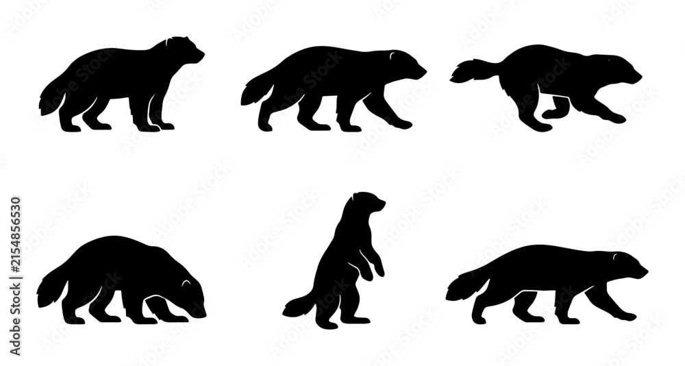 Obraz premium Wolverine Silhouettes Vector Set: Diverse Poses of Wild Animal Icons, Black and White Graphic Resources