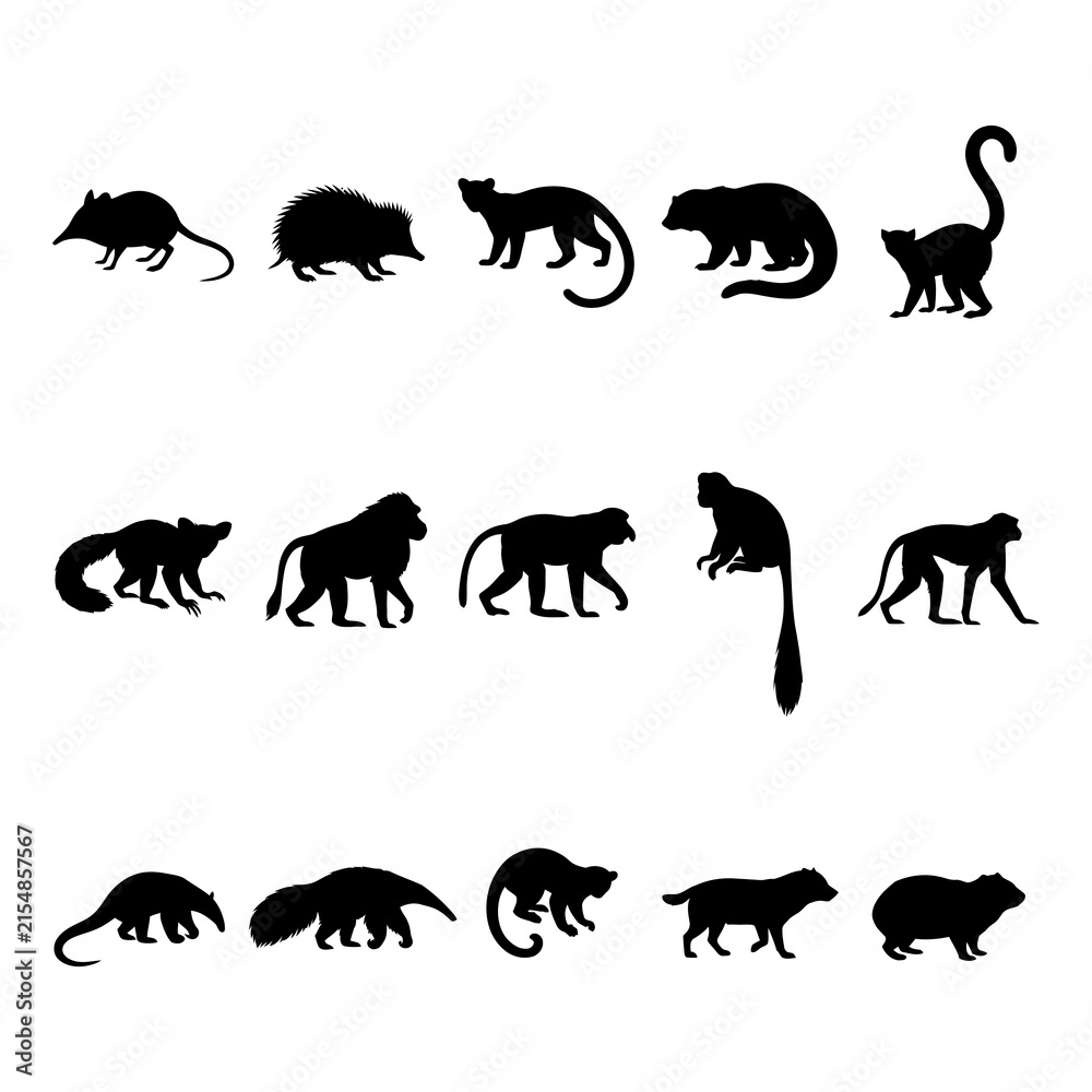 Obraz premium Collection of animal silhouettes against a white background