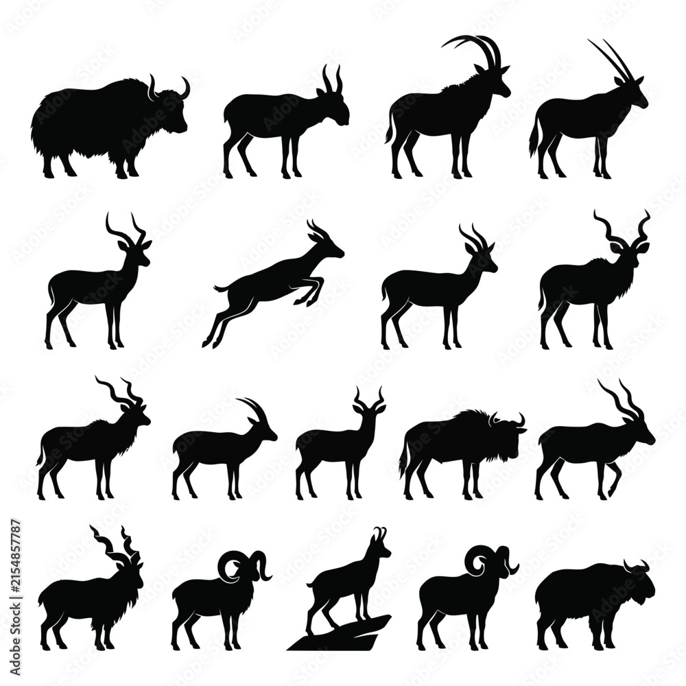 Obraz premium Silhouettes Of Antelope Gazelle And Bison Against White Background