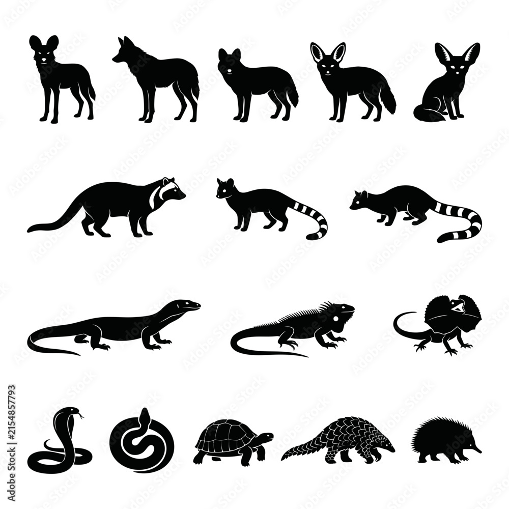 Fototapeta premium Silhouettes Of Various Wild Animals A Black Vector Illustration