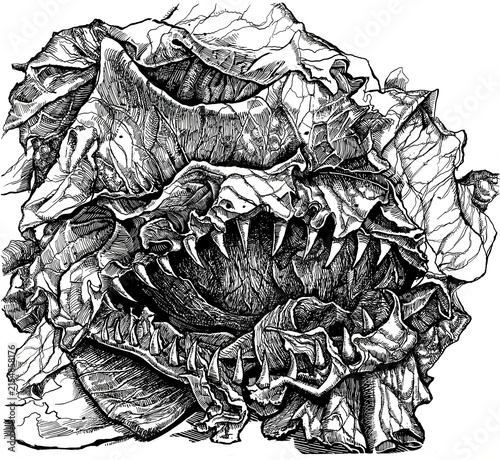 Fotografía drawing of a head of lettuce with sharp menacing teeth, fears of food contaminat