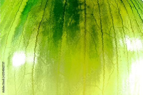 Abstract Green Onion Skin Texture Close Up