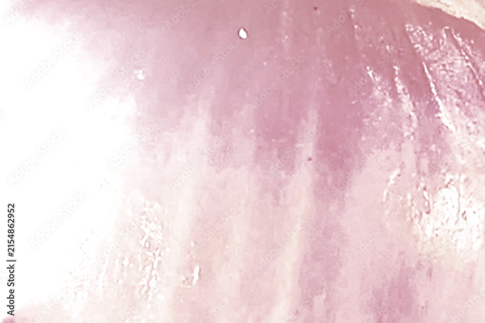 Obraz premium Abstract Pink Onion Skin Texture Close Up