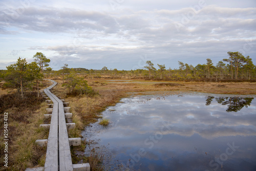 Wooden Boardwalk Through a Wetland Landscape