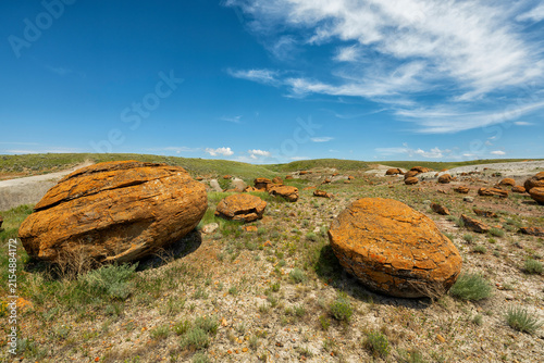 Obraz na płótnie Glacial erratics in a field of grass