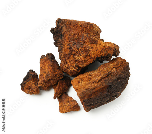 Obraz na plátně Many functional Chaga mushrooms isolated on white, top view