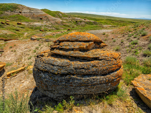 Glacial erratics in a field of grass