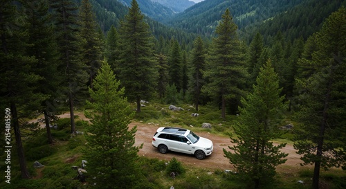 Aerial view of white SUV parked on dirt road in pine forest