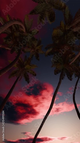Vertical palm silhouettes against pink dusk clouds, static camera loop