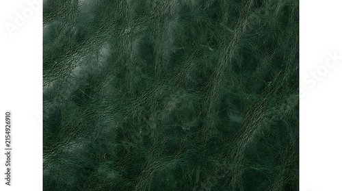 Deep Dark Emerald Green Leather Texture Surface Background Featuring A Luxurious Natural Grain Pattern For Professional Design