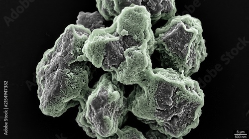 Solid electrolyte interphase layer forming over irregular carbon graphite particles, translucent film growth demonstrating protective passivation during secondary battery cell cycling.