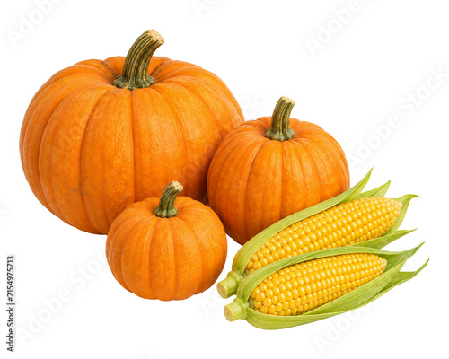 Fresh orange pumpkins and sweet corn on the cob isolated PNG transparent background