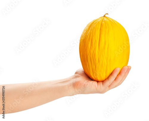 Fotografie casaba melon in hand path isolated on white