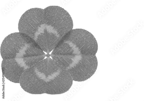 Four-leaf clover isolated on white background, black and white macro photography