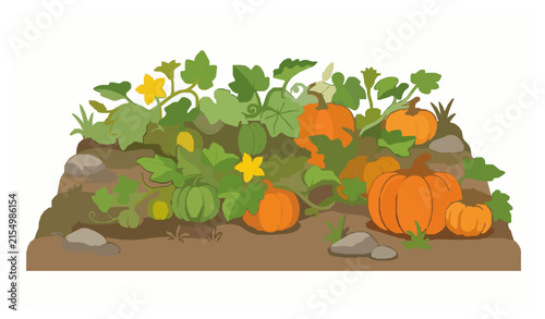 Pumpkin Vegetable Garden with Vines Leaves and Flowers Flat Vector Scene