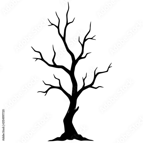 Leafless tree silhouette with gnarled branches and trunk for spooky halloween decorations.