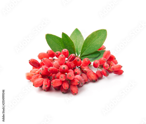 Sweet barberry with leaves