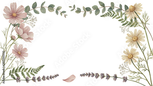 Watercolor floral frame with pink cosmos and white daisy flowers isolated on a transparent background