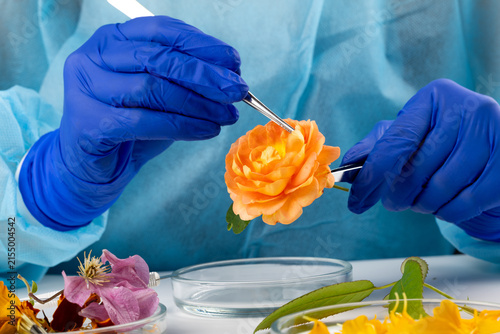 A scientist studies a plant and natural flower and plant specimens in a biology lab, demonstrating innovations in flora science.