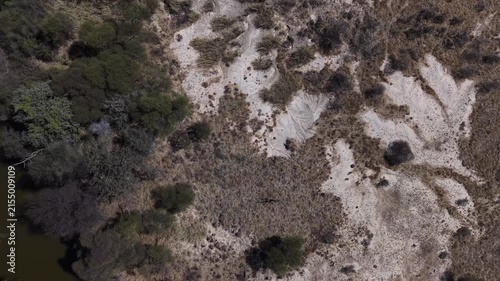 textured ground