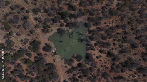 aerial view of a watering hole