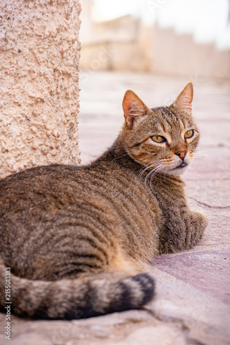 Carloforte in immagini (Sardegna)