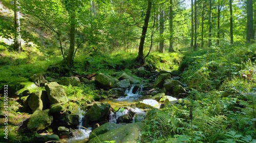 One minute loopable forest stream video with relaxing water flow and singing birds sound.